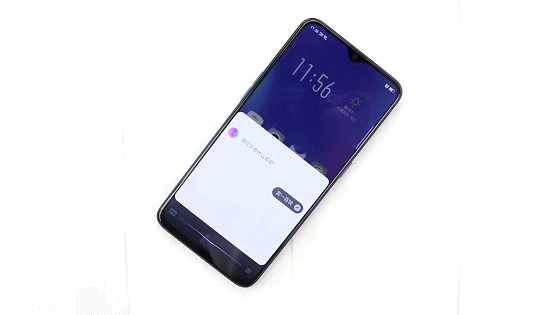 155300479717867528