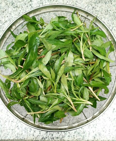 时令野菜马兰头.