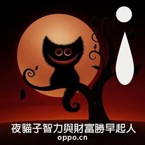 喵～夜貓子!為什麼深夜不睡還在樂園裡瞎逛?