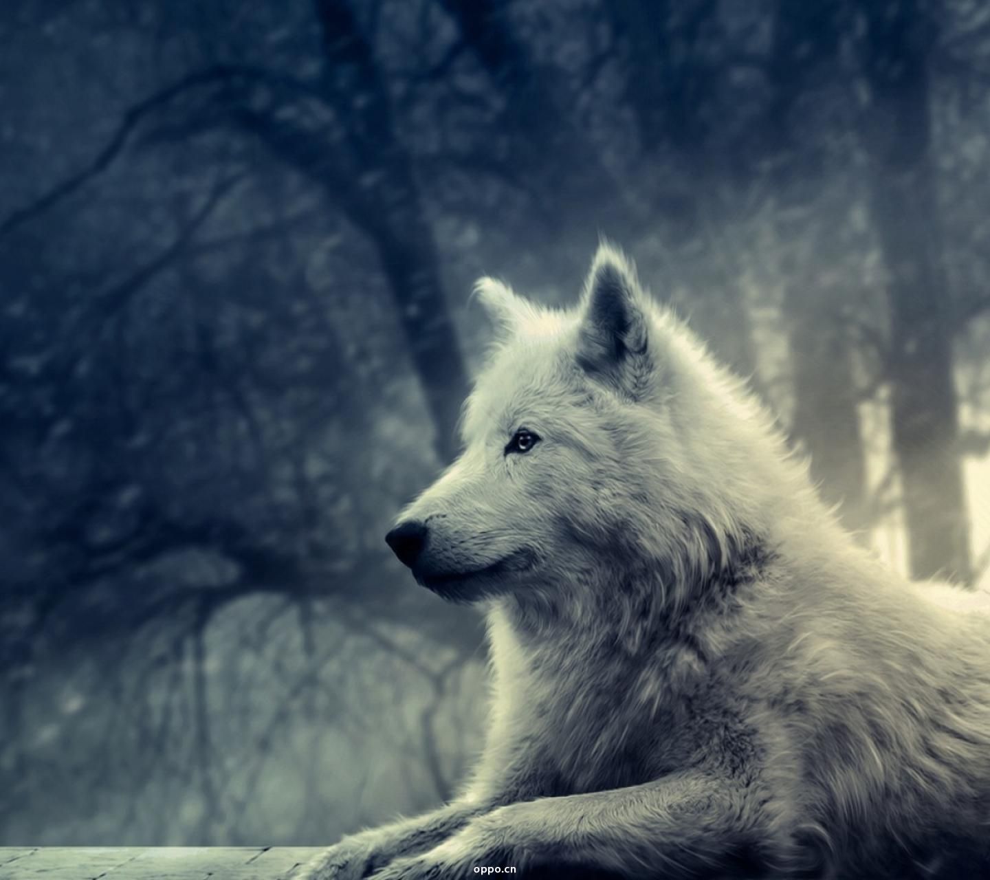 别样的人生,别样的奋斗,谁的浮生乱了谁的流年?人生,我为自己代言!