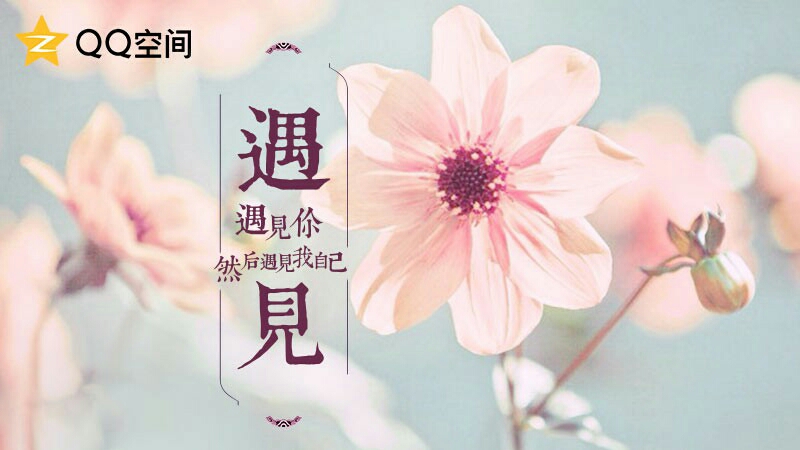 心灵鸡汤