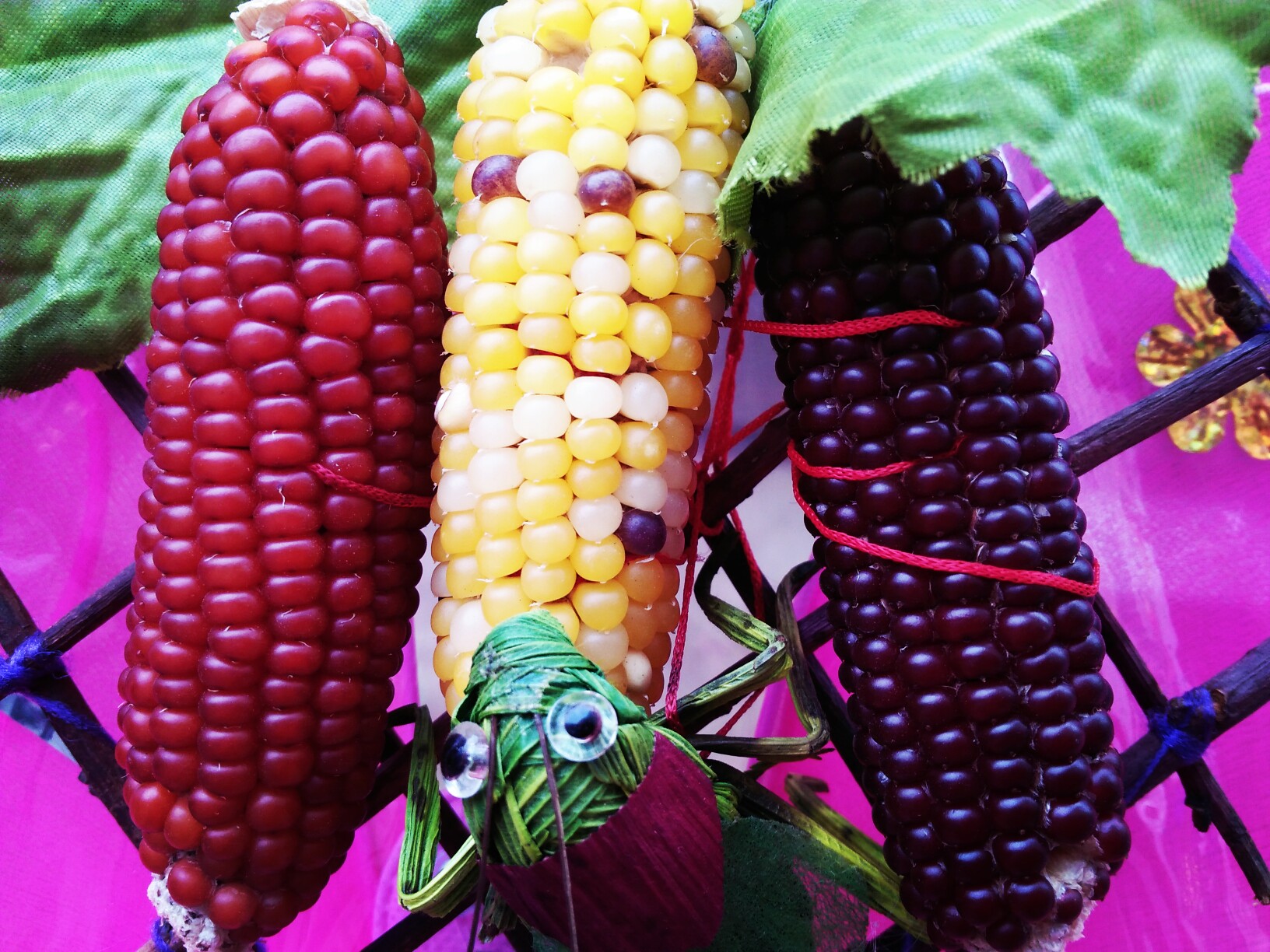 很漂亮,第一次见五彩玉米