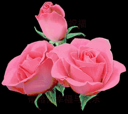 [表情] 念 [表情]_帖子_oppo手机官方社区