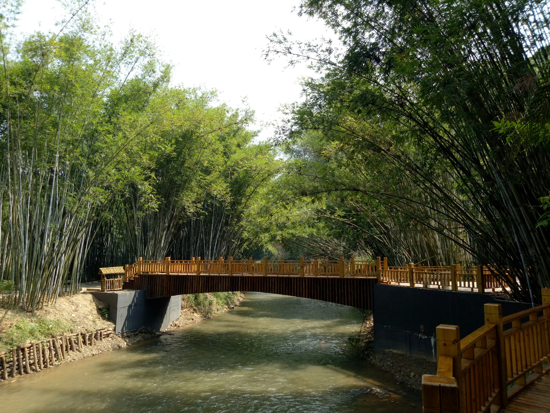 高州旺同竹海_帖子_oppo手机官方社区