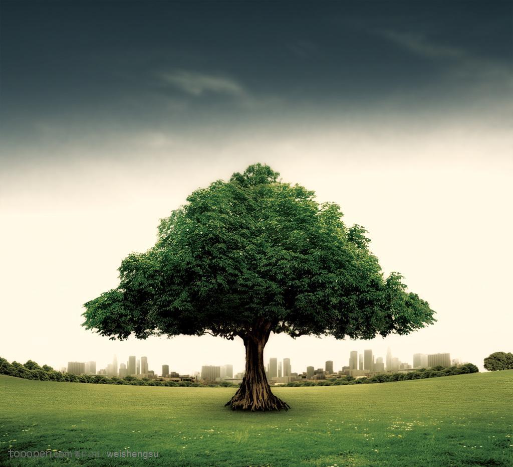 孩子一生最好的老师