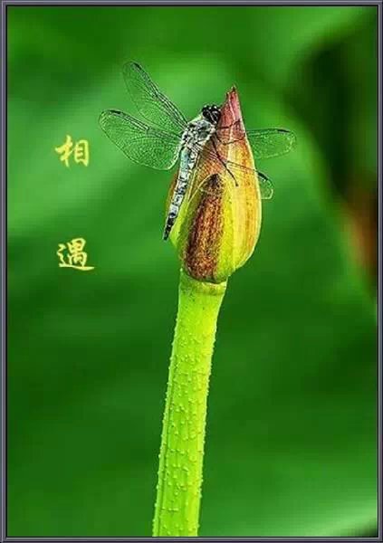 信任可心人,真情最珍贵.