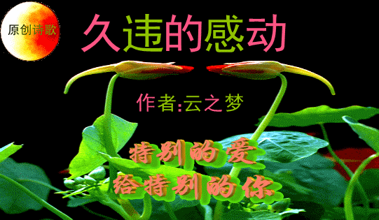 541_315gif 动态图 动图