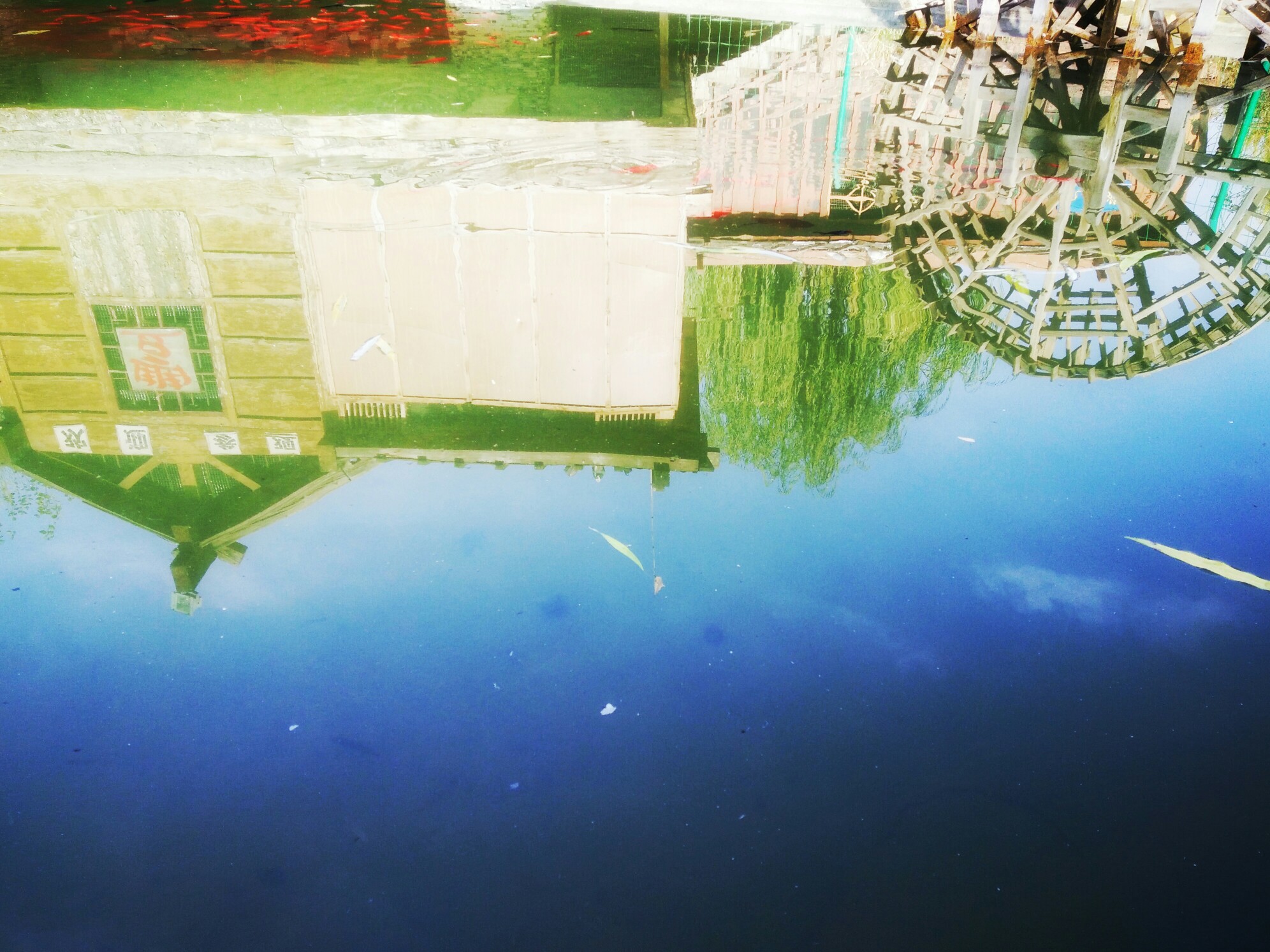 和孙洋洋去浪喽