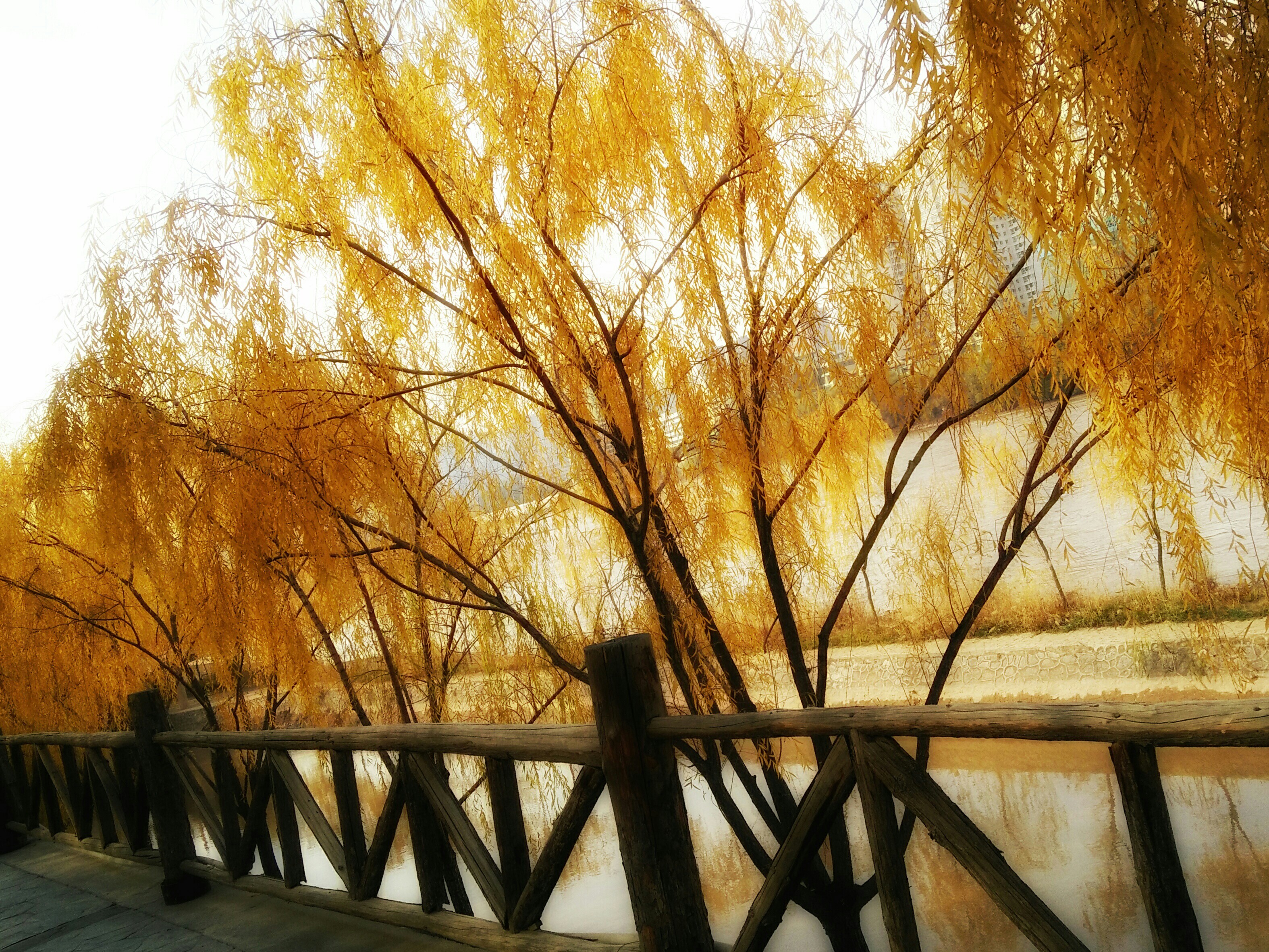 和孙洋洋去浪喽