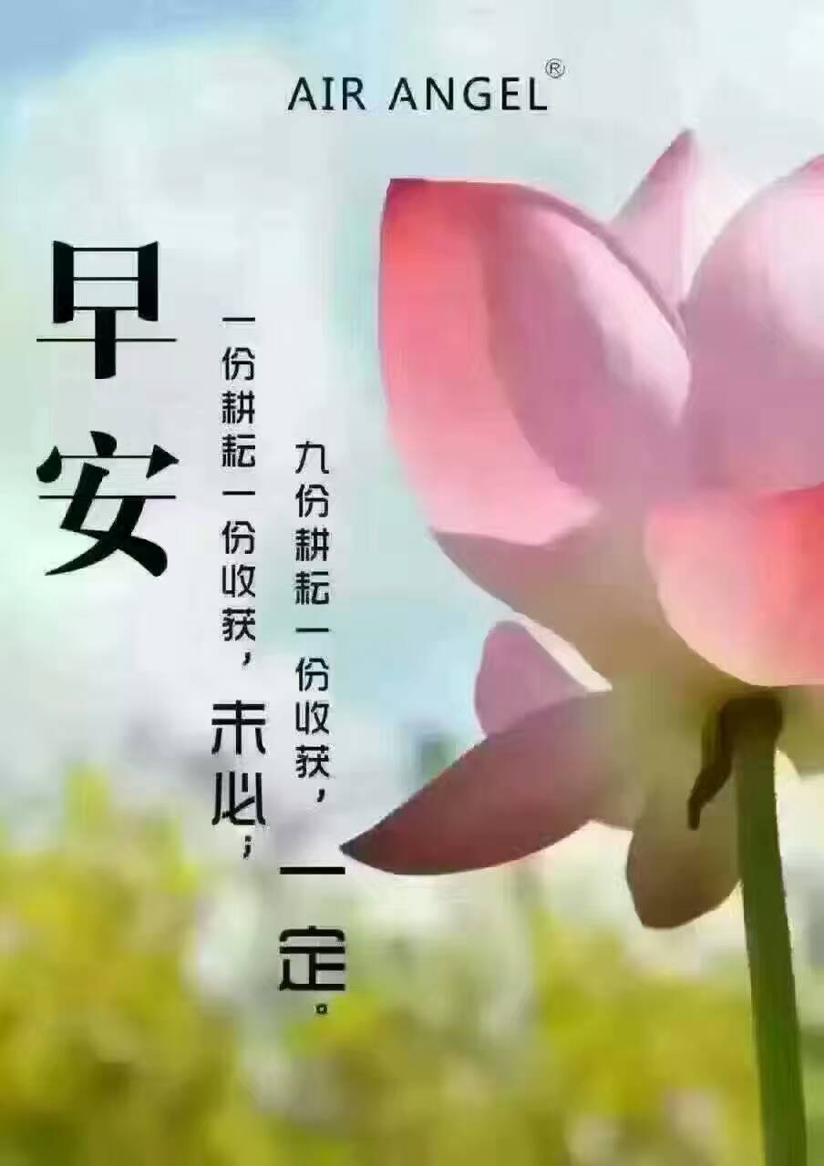 早安我的朋友们!