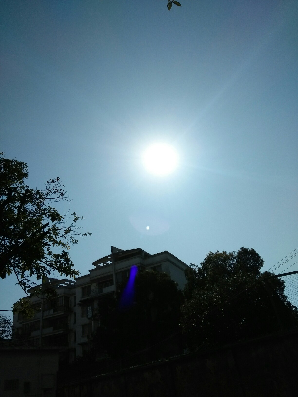 暖洋洋的阳光洒下来,晒太阳真的很舒服