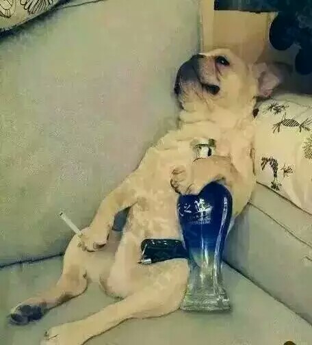 一支烟一瓶酒一条单身,自由的味道.有点孤独
