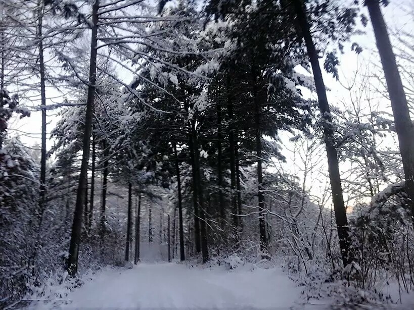 冰雪