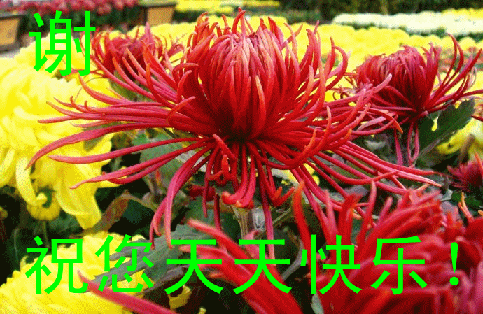 690_449gif 动态图 动图