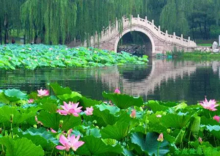 什么是命中贵人 ?