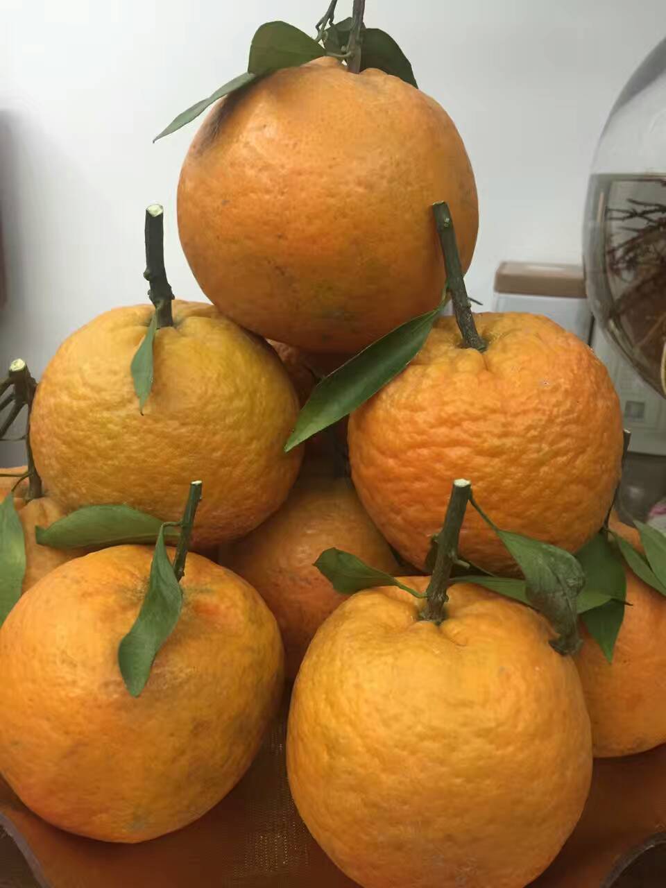 潮州柑_帖子_oppo手机官方社区