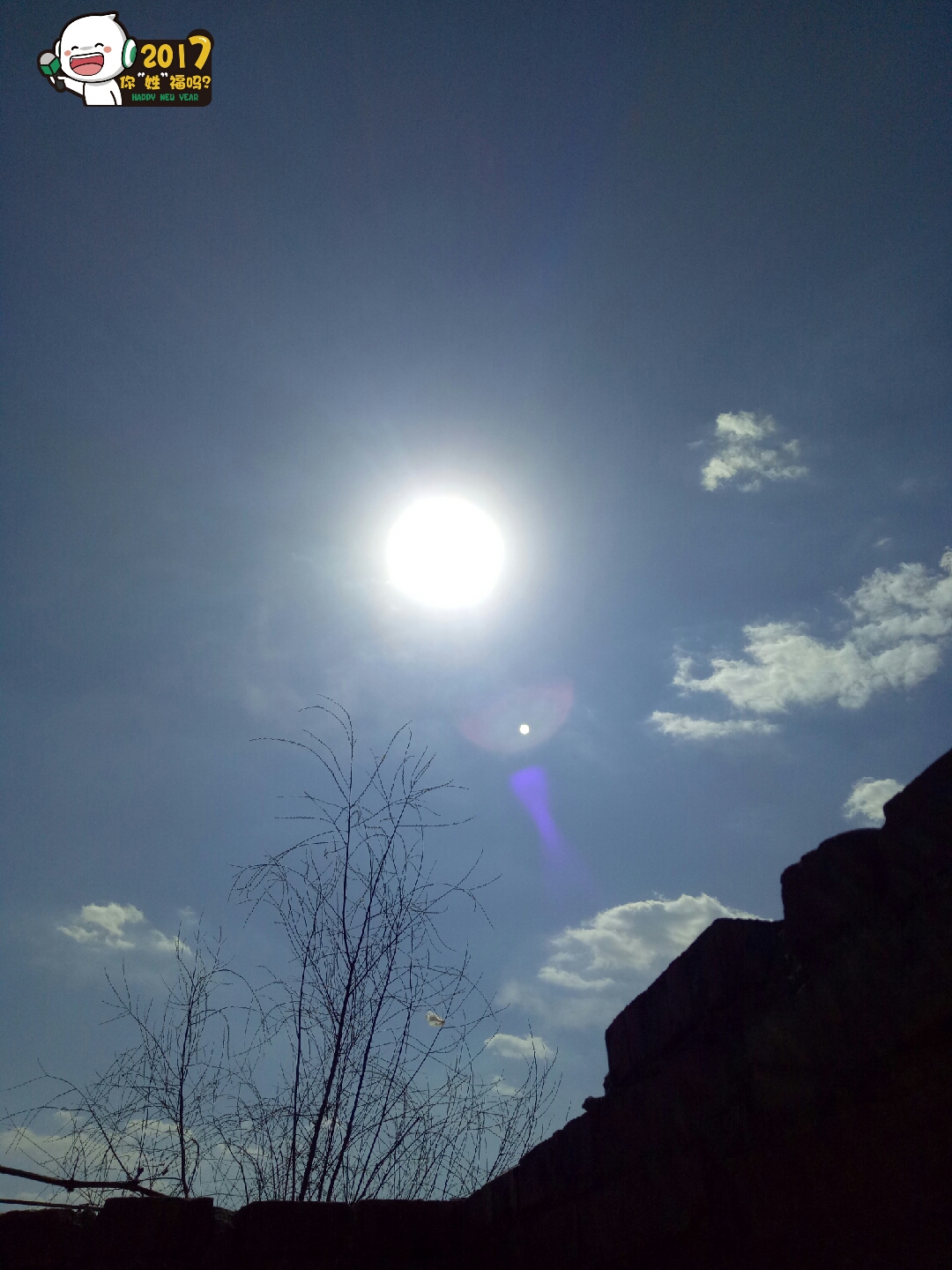 强光下的,小太阳