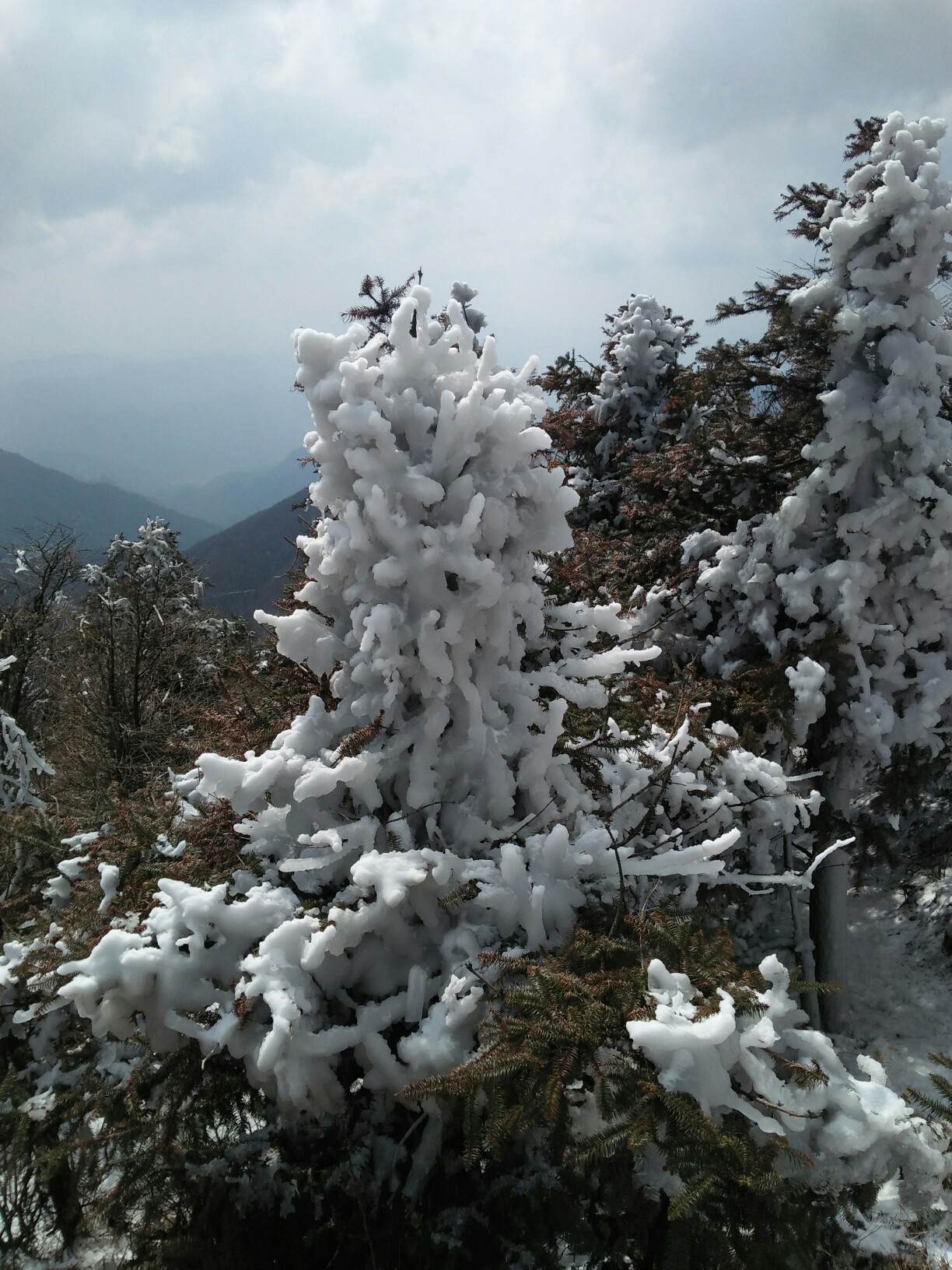 新化大熊山冬天图片