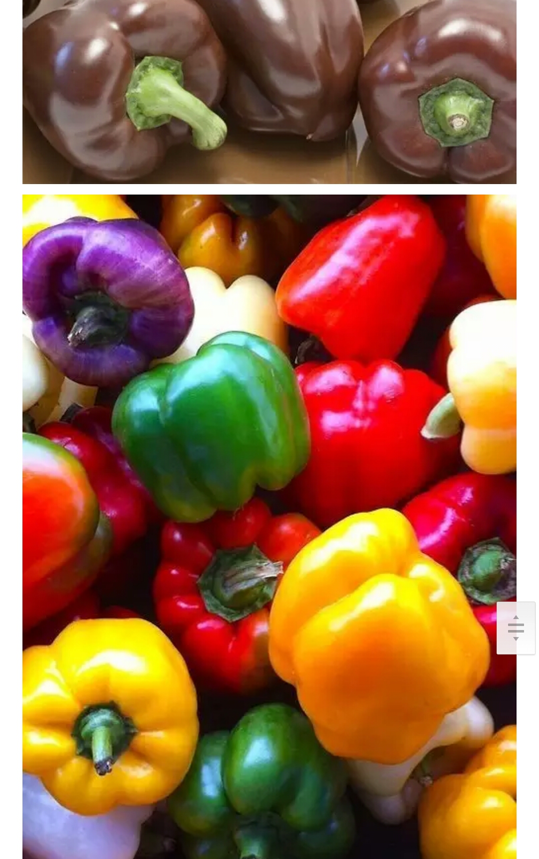 奇葩蔬菜名称图片