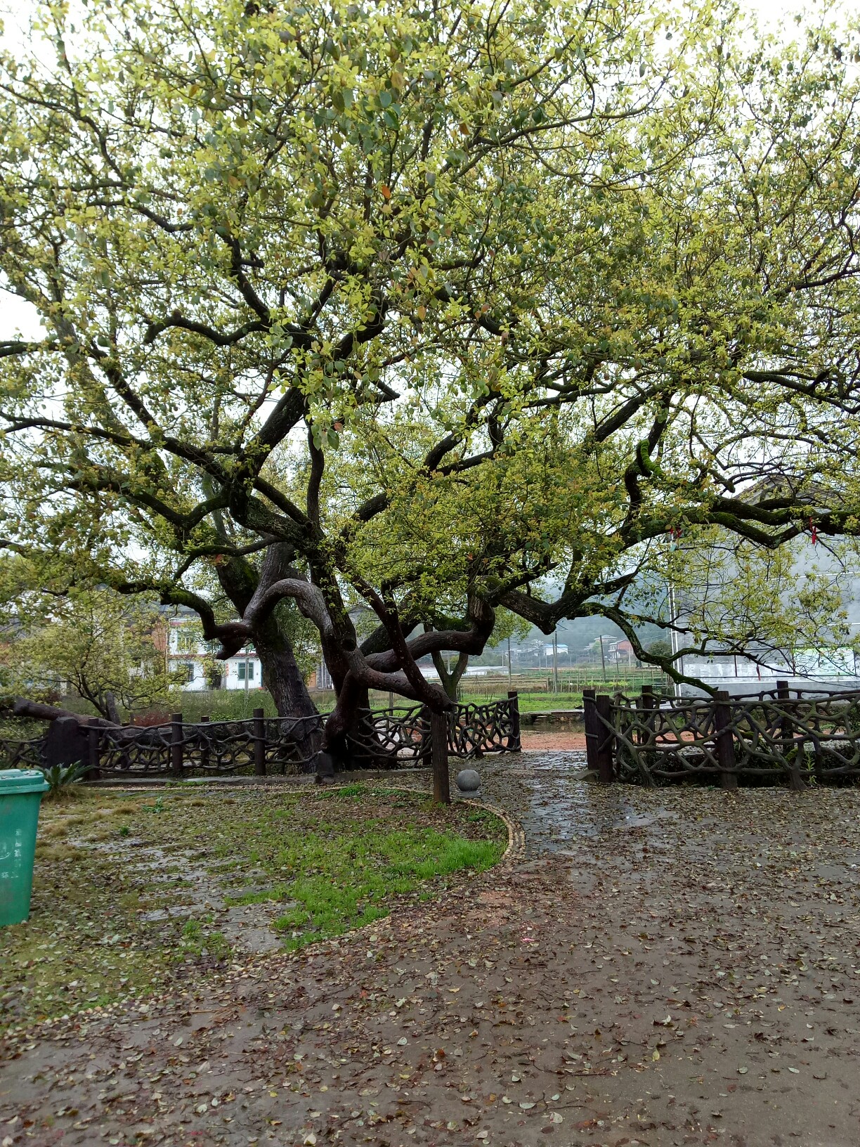 浏阳/金刚镇《隔河相会》_帖子_oppo手机官方社区