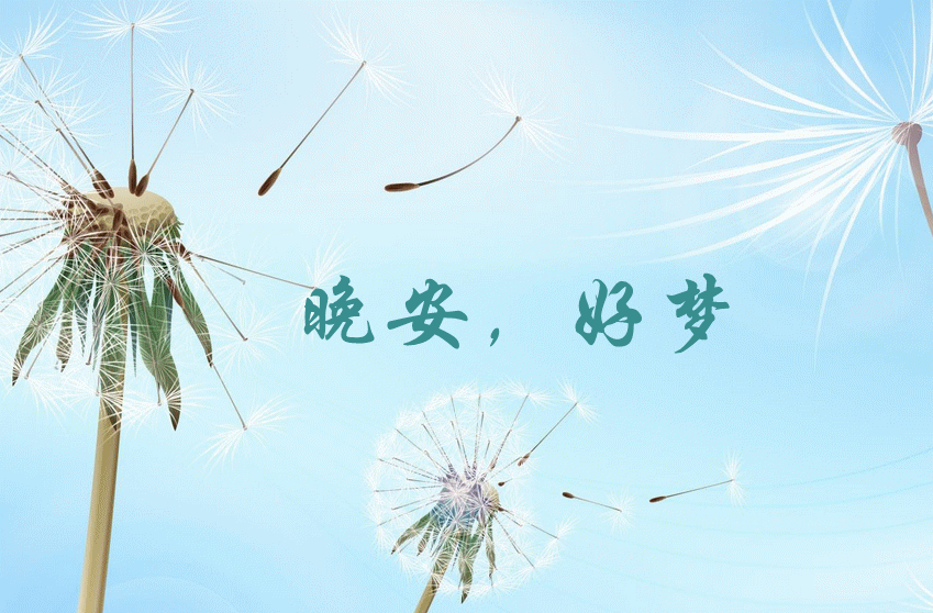 849_558gif 动态图 动图