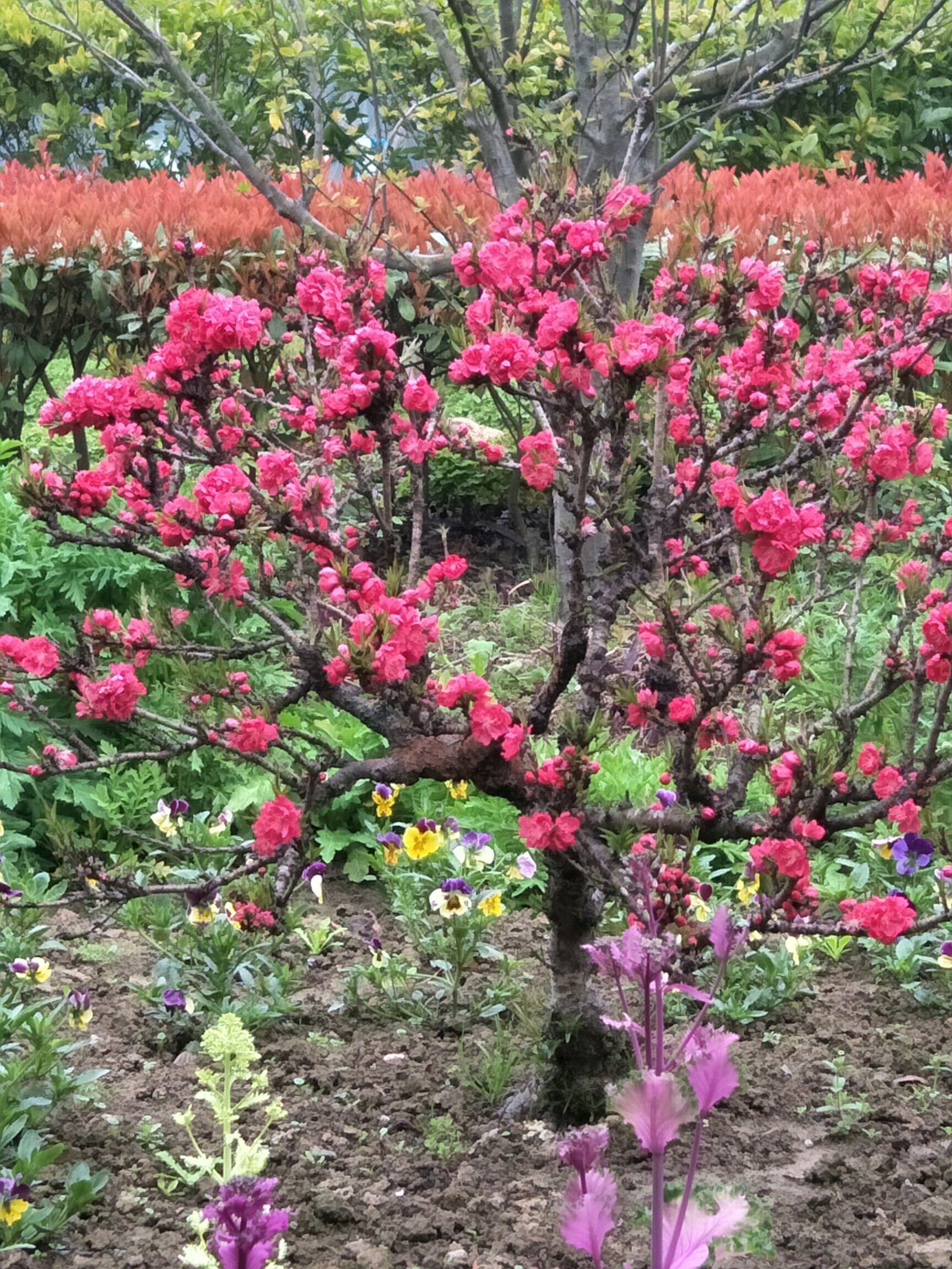 是春天么,为什么还是那么冷