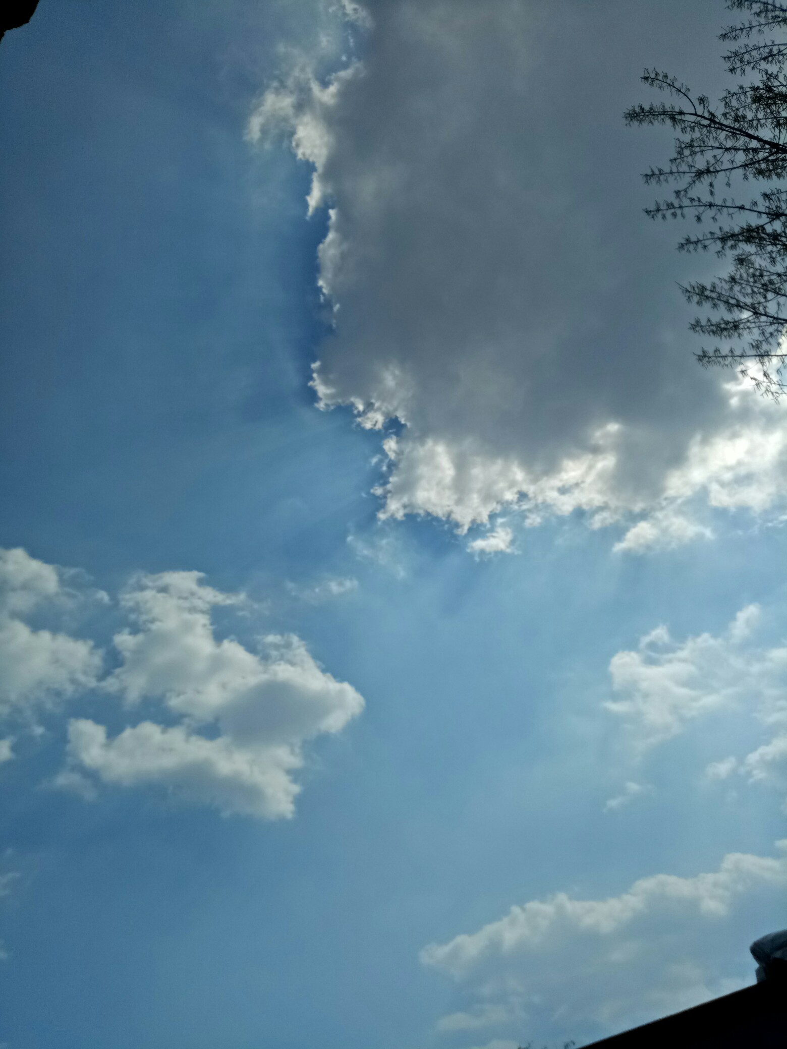 oppoa59sֻĻɫô