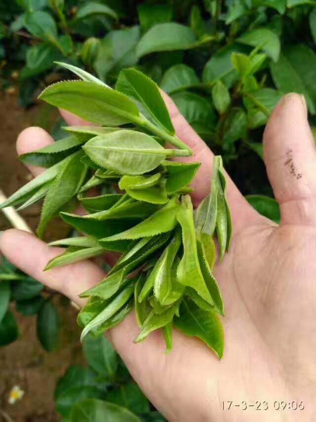 阅读 1评论 004-06 12:26