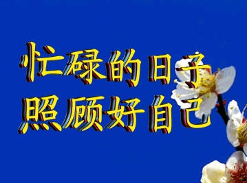 帖子_oppo手机官方社区
