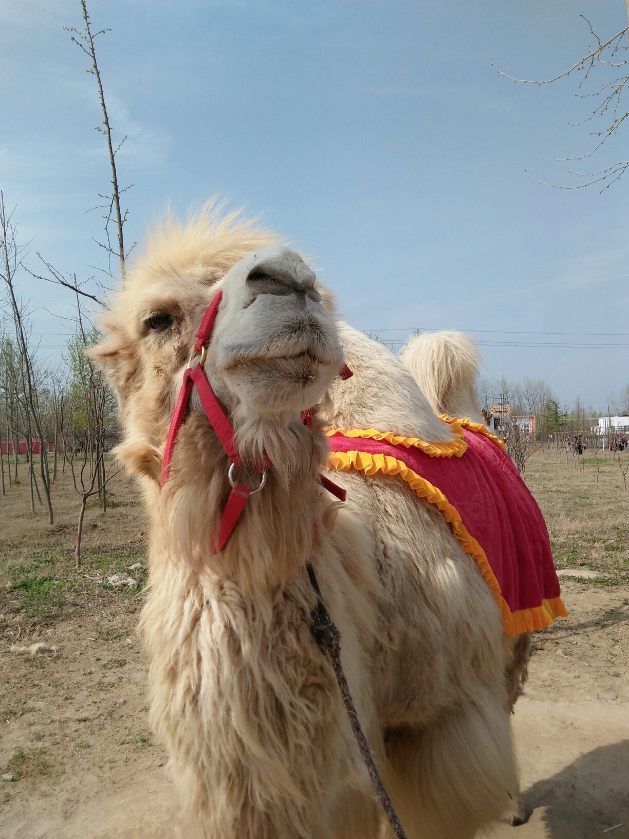 我去过的城市#宿迁动物园