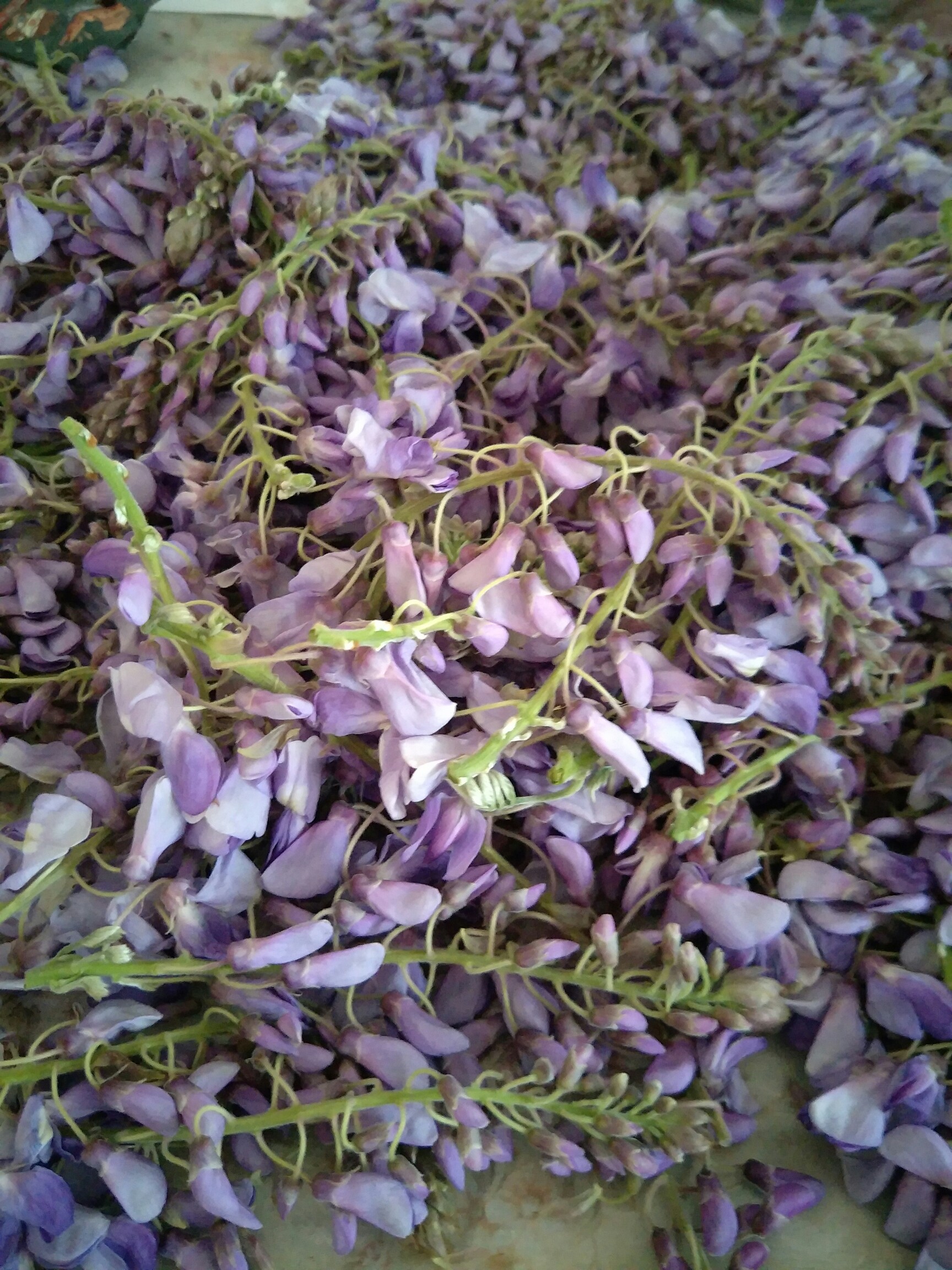 最近吃过的美食#葛花,土特产