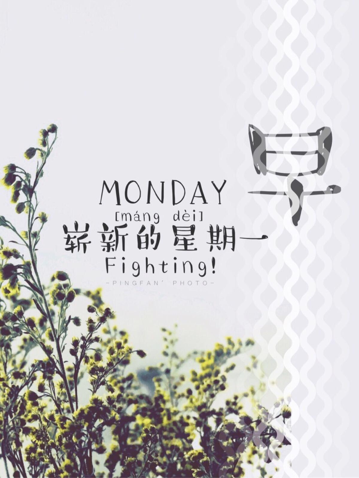 新的周一,又要上班了,祝友友们开心快乐,工作