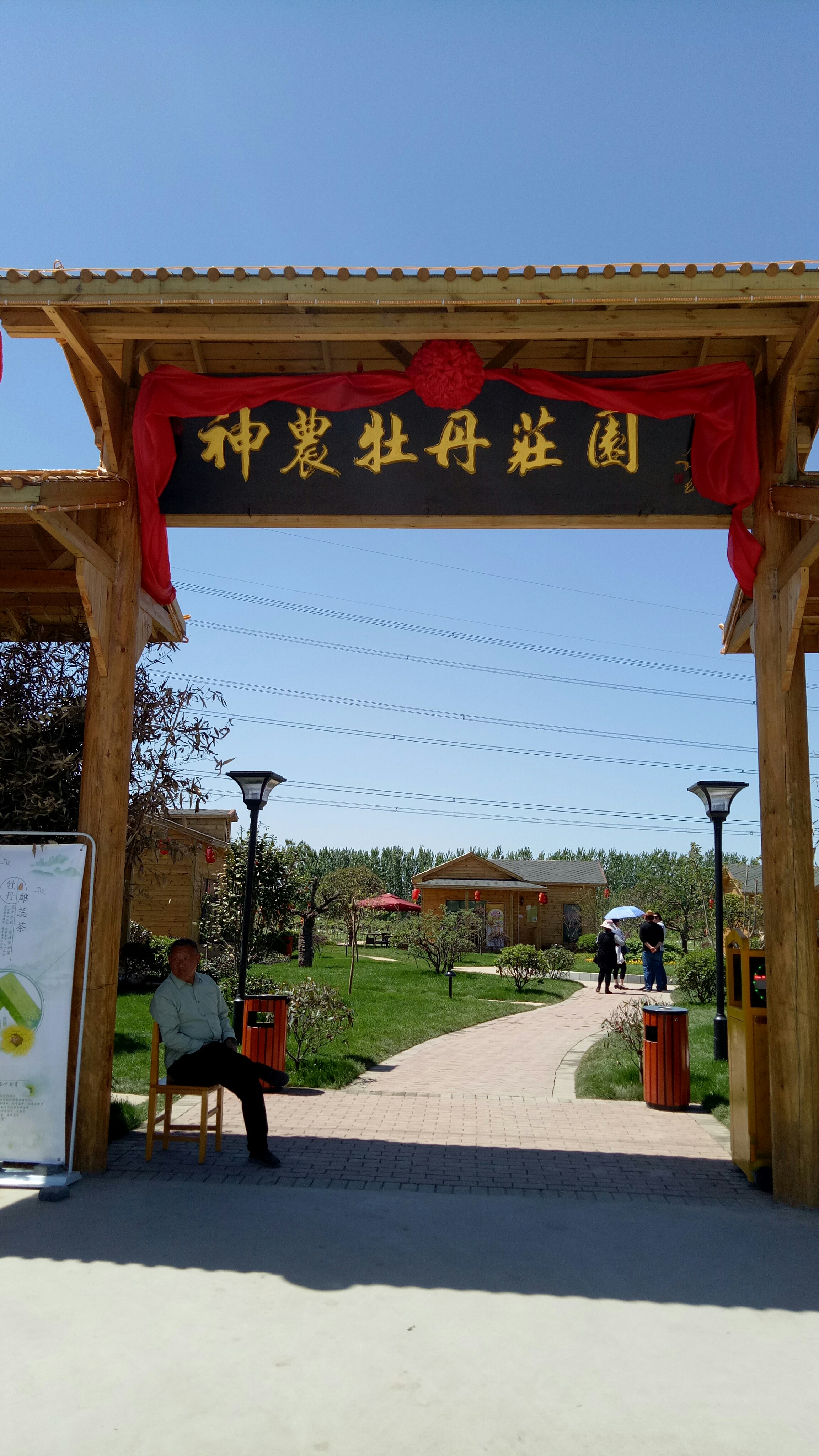 东义合牡丹,东阳东义府(第3页)_大山谷图库