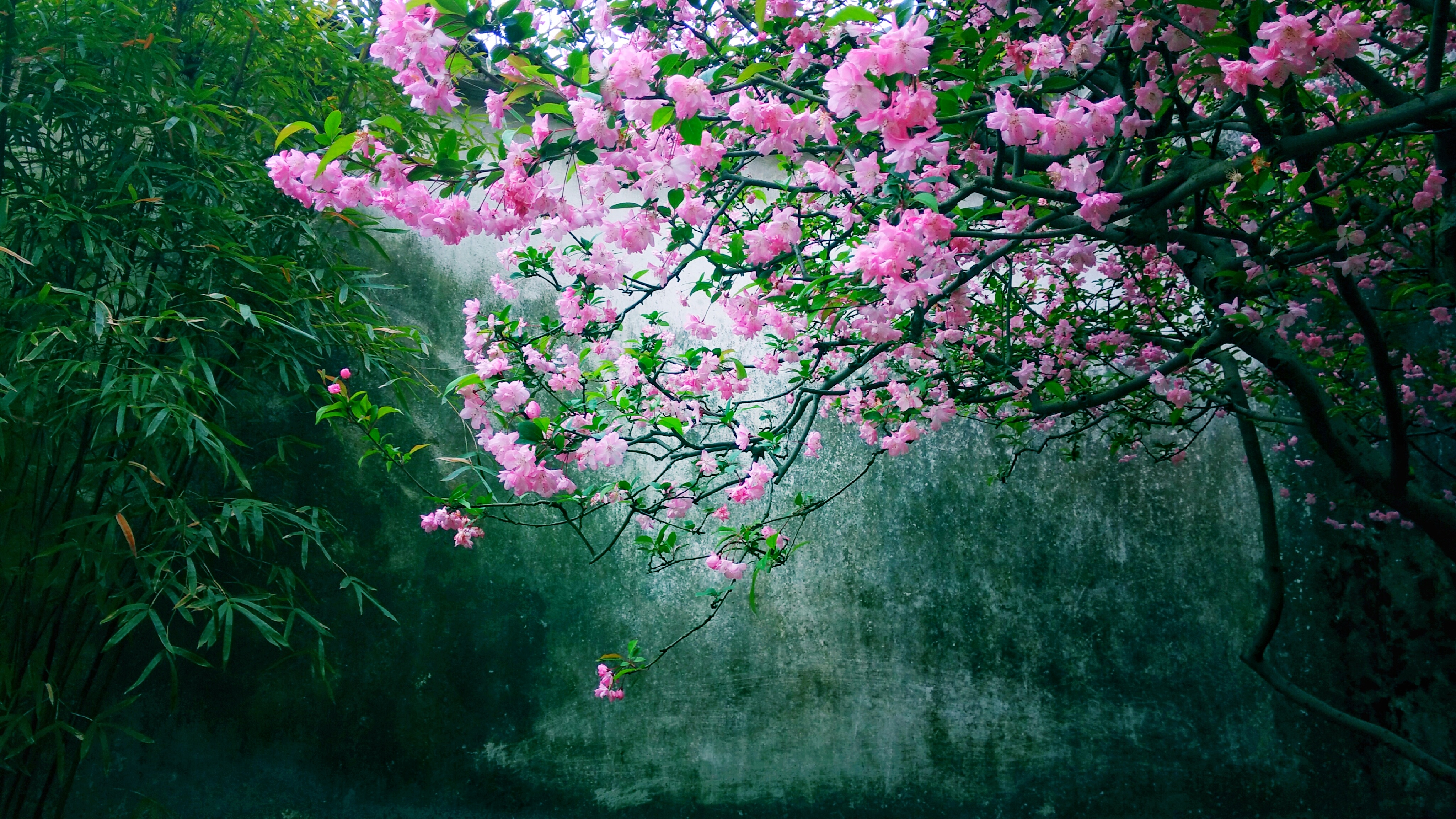 赞_帖子_oppo手机官方社区