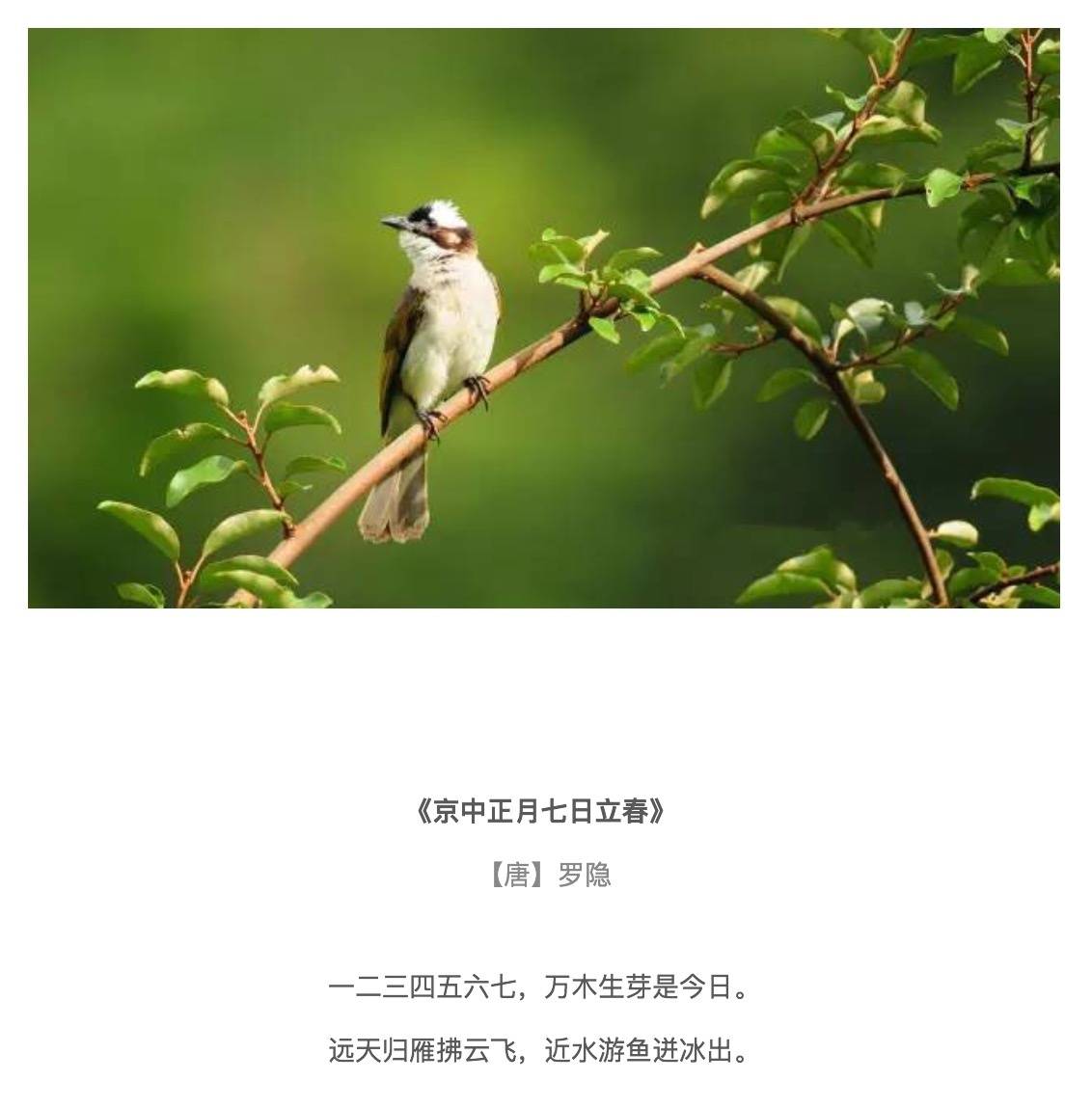 【写给春天的诗 】