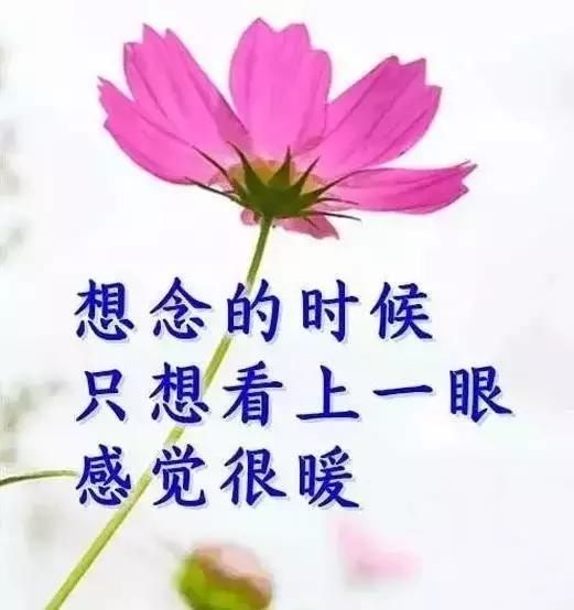 14931876698376.jpg