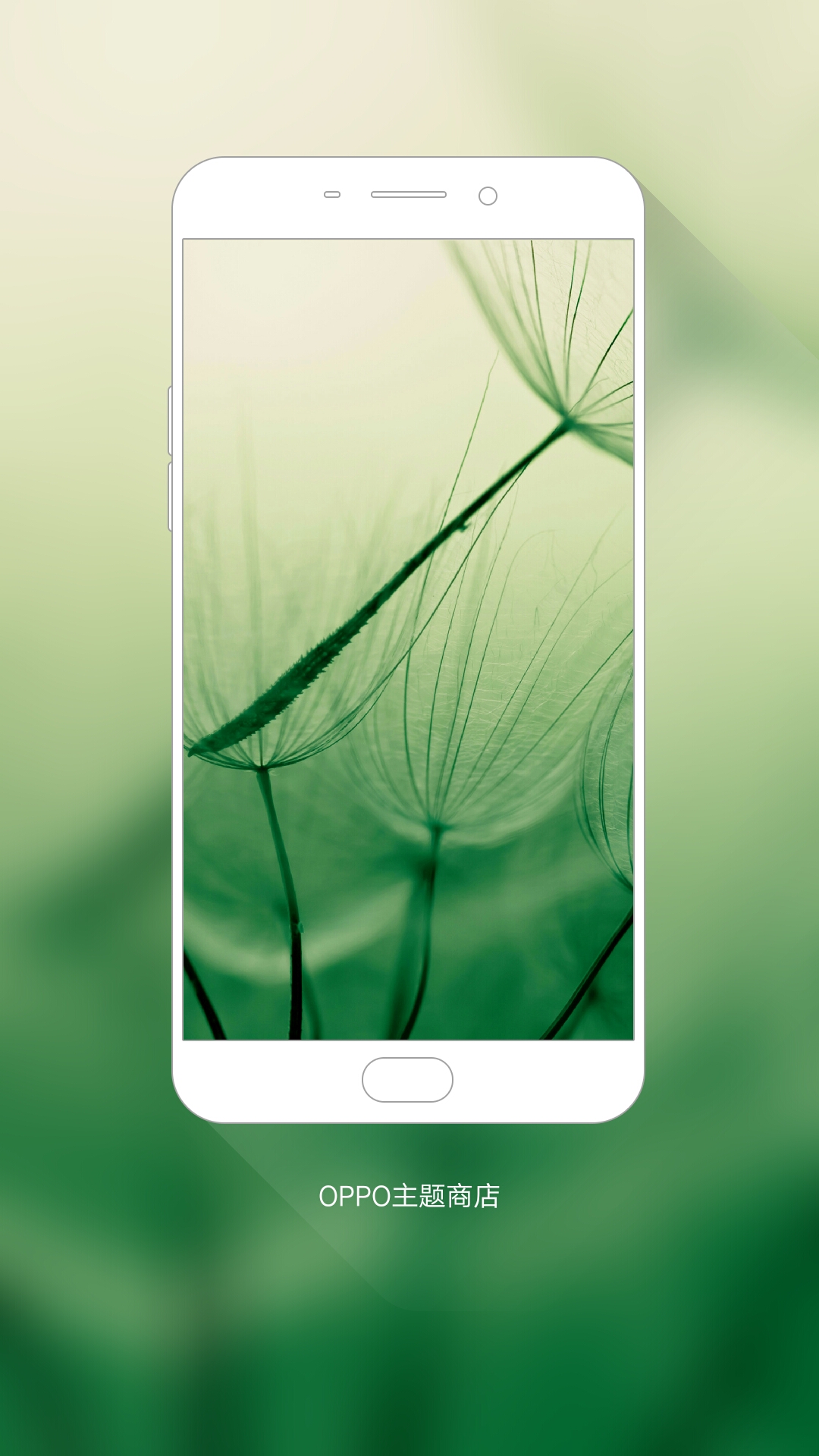 r9家族#我在#oppo主题商店#发现一款壁纸 ._帖子_oppo手机官方社区