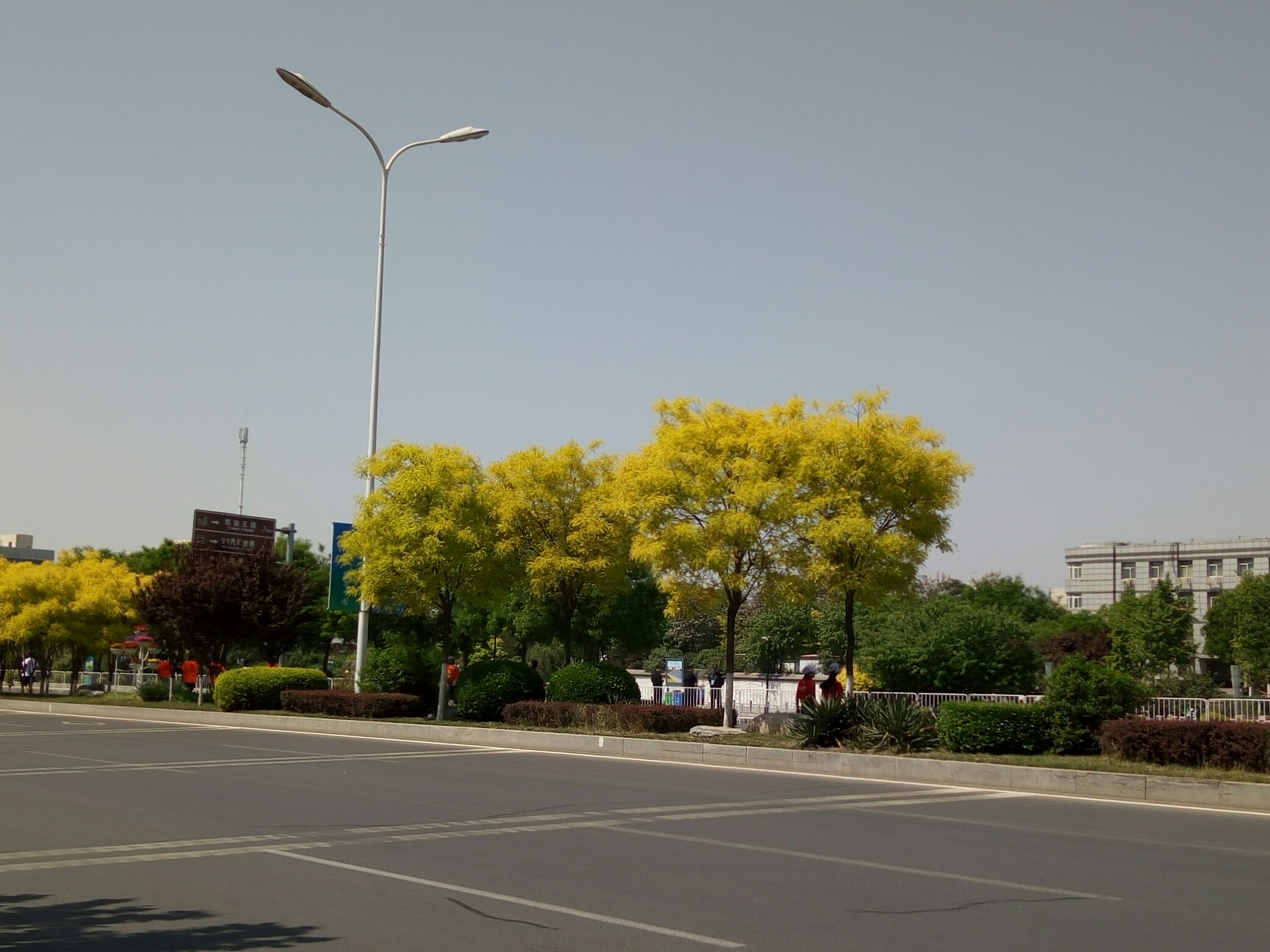 外面的天气好暖和啊!