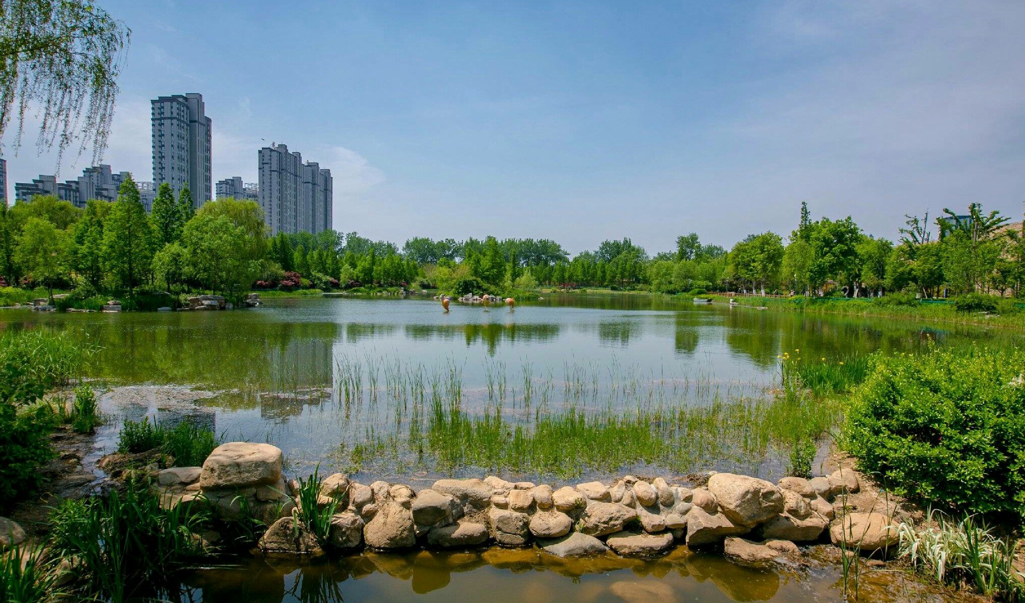 醉美济南#济南森林公园