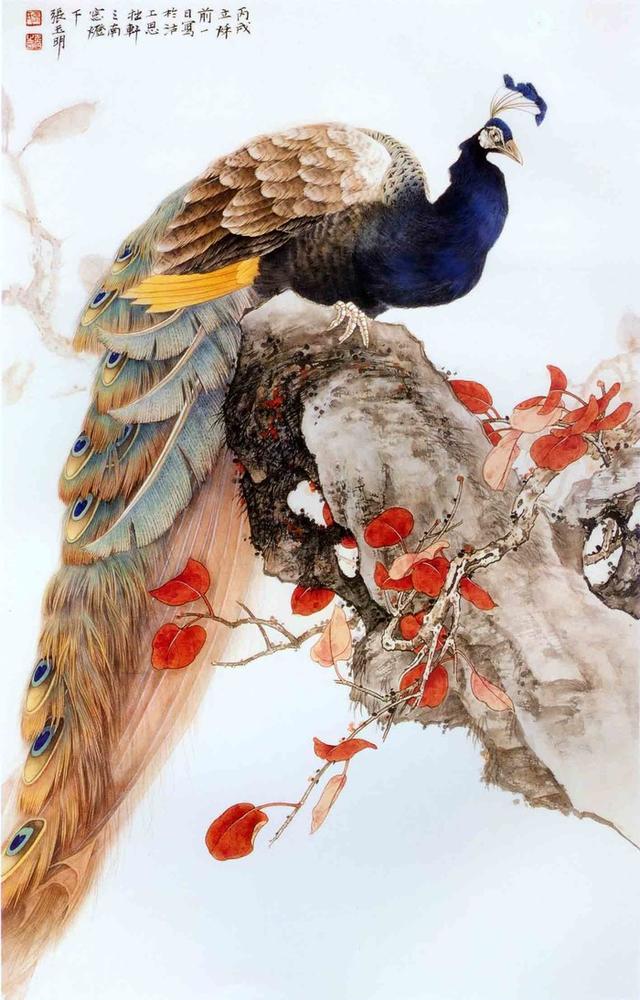 工笔画--孔雀百美图