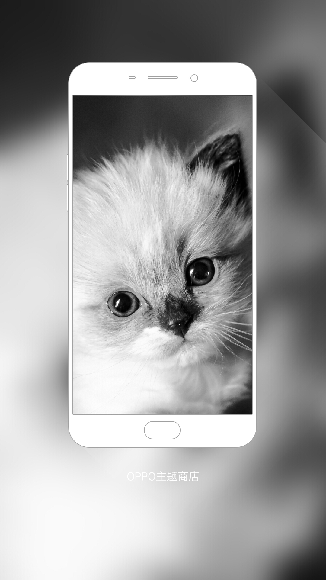 帖子_oppo手机官方社区