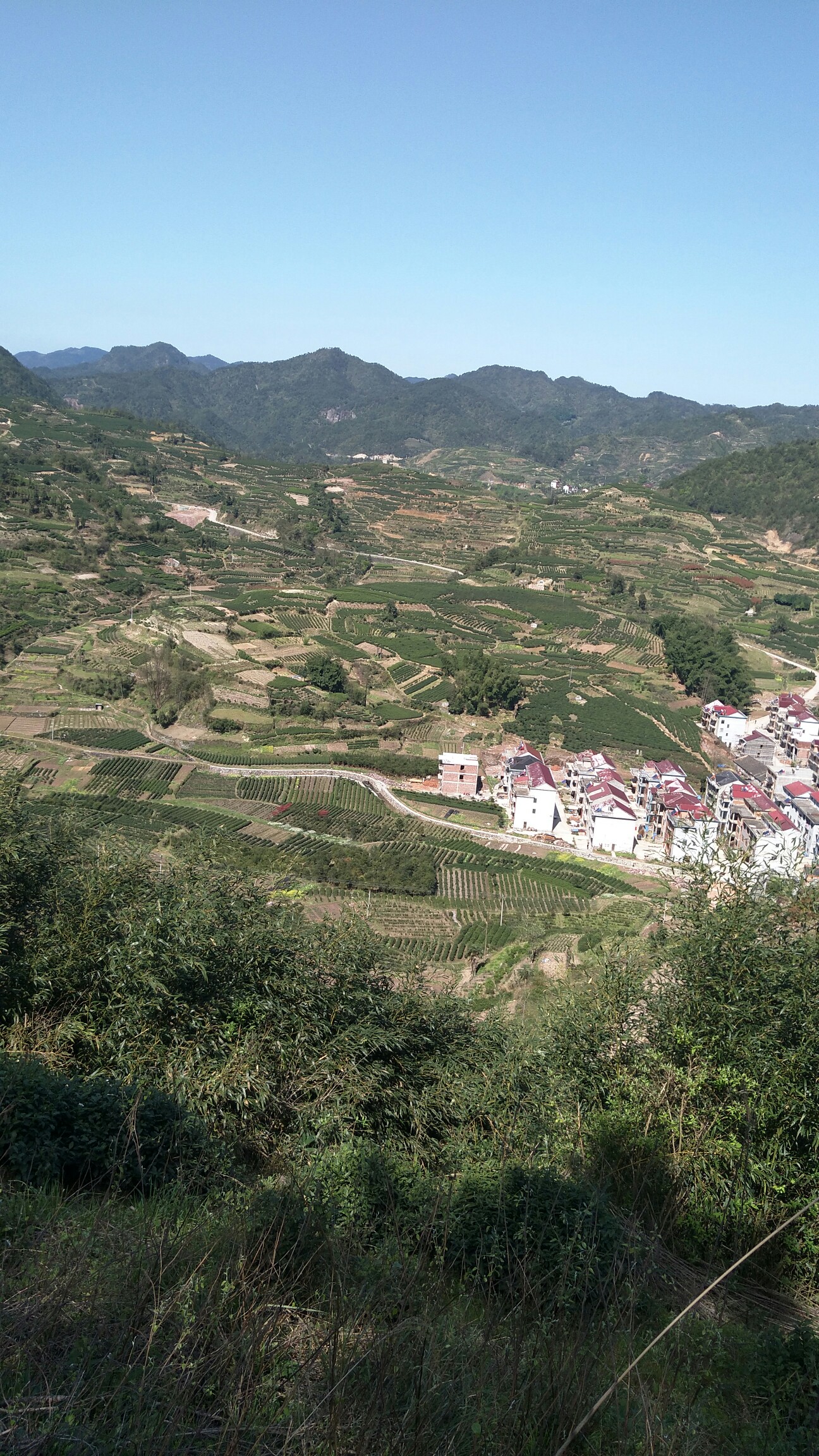 潘向阳_帖子_oppo手机官方社区