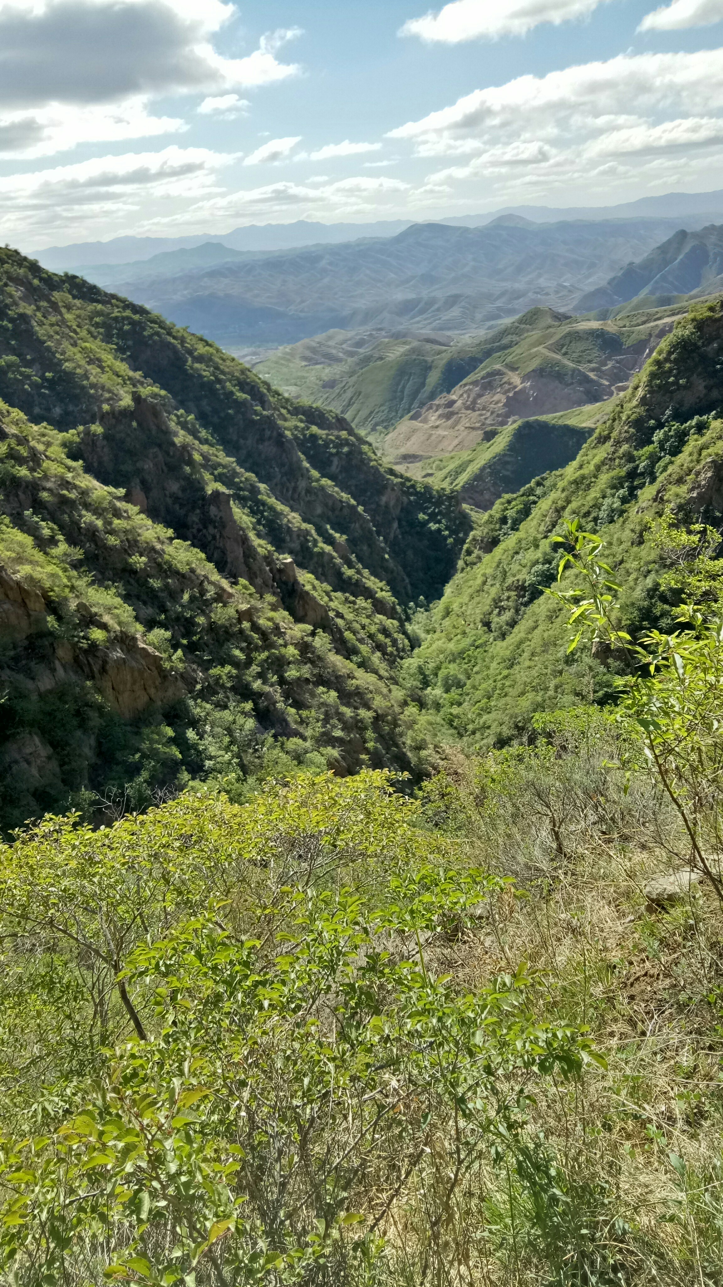 手机里最新的一张照片#深山老林