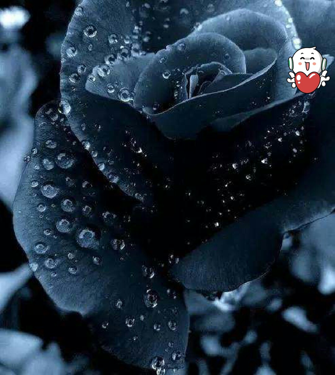 今天长这样#[表情][表情][表情][表情]大家._帖子_oppo手机官方社区