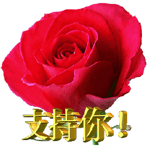 295_287gif 动态图 动图