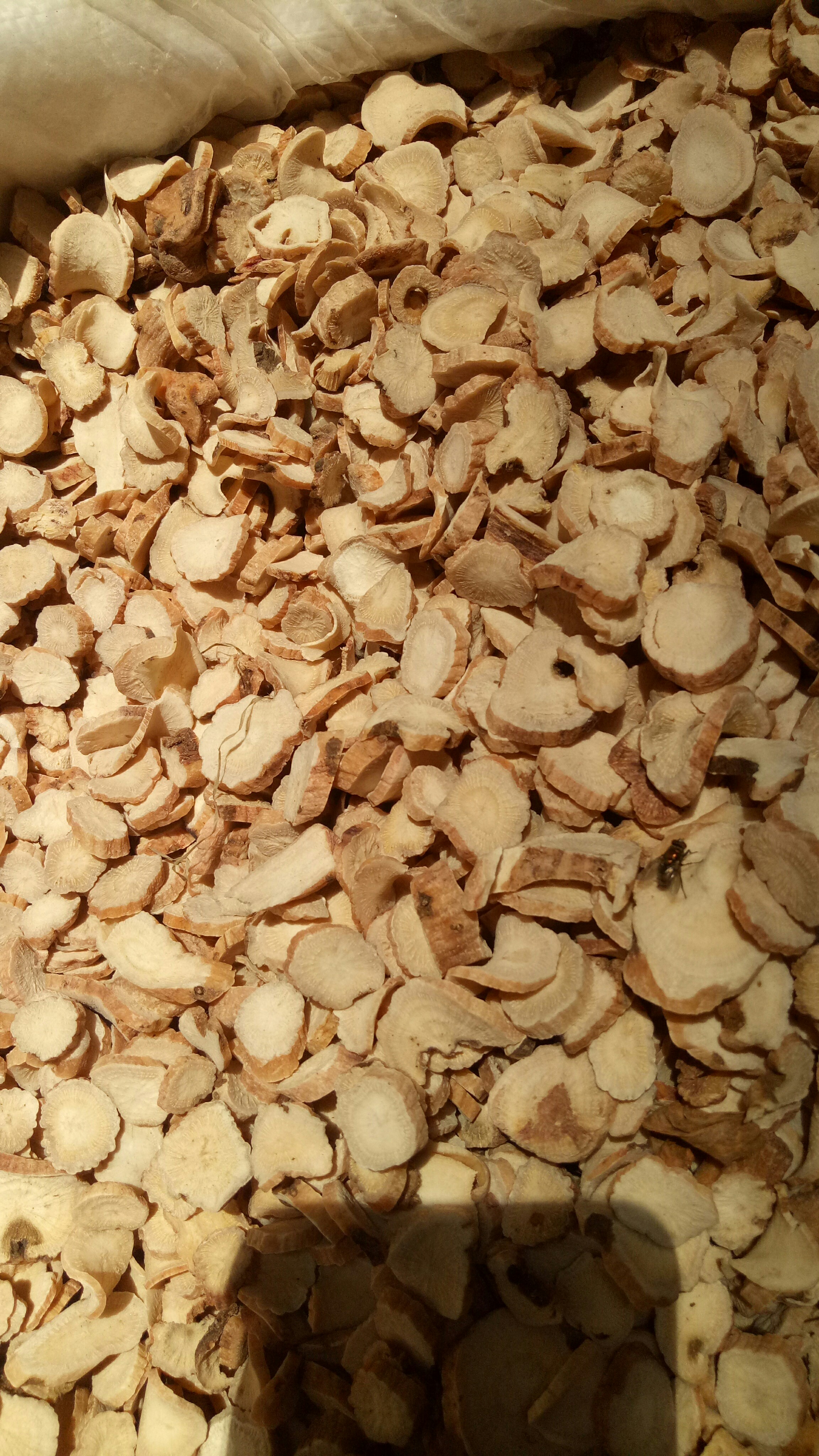 白芷,勾钉,白芍,金毛狗_帖子_oppo手机官方社区