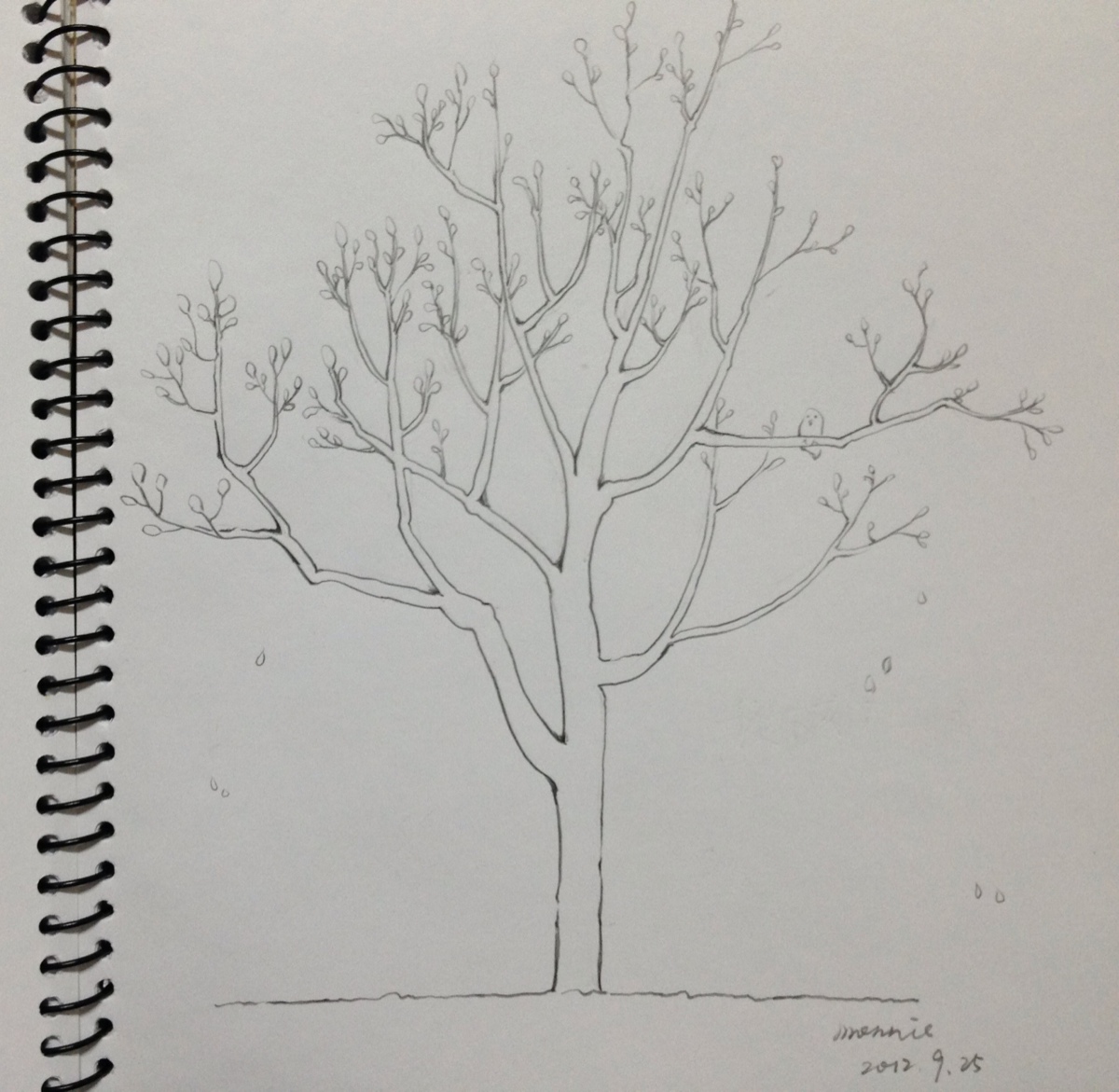 这是表姐画的几幅画,不得不夸夸表姐有才华.