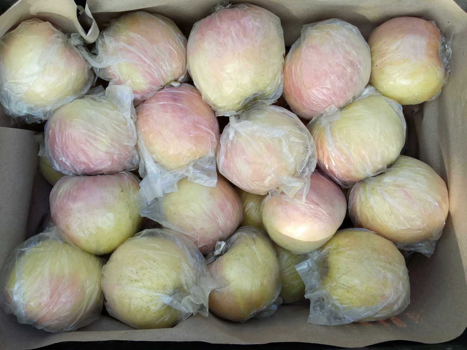 我们老家的砀山红富士苹果_帖子_oppo手机官方社区