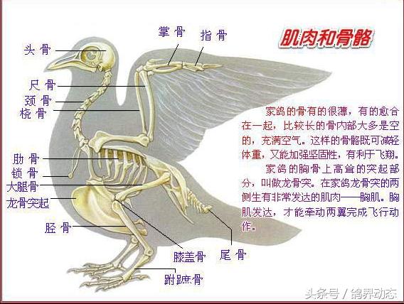 闲着没事,研究研究