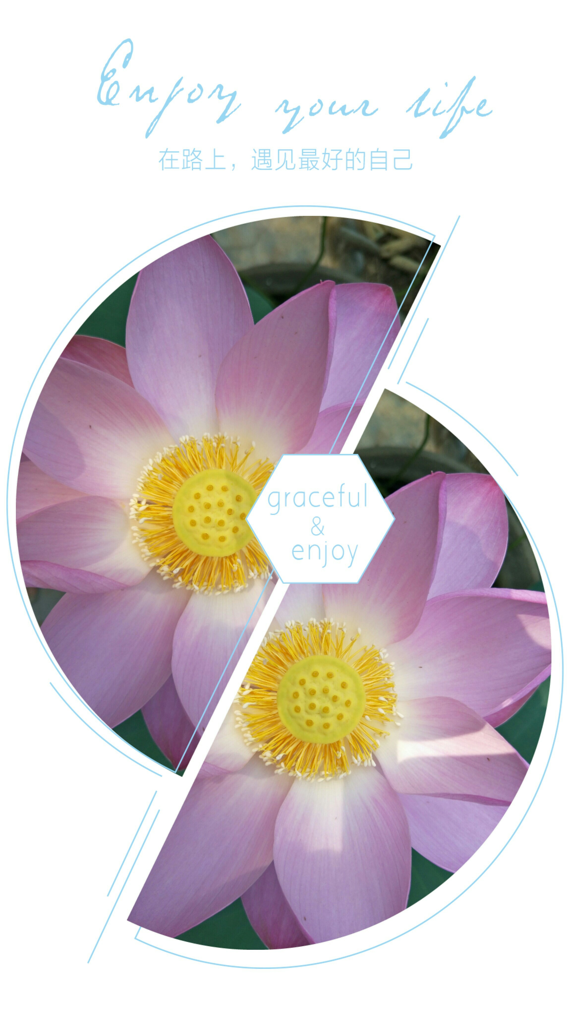 (⊙o⊙)…(⊙o⊙)…_帖子_oppo手机官方社区